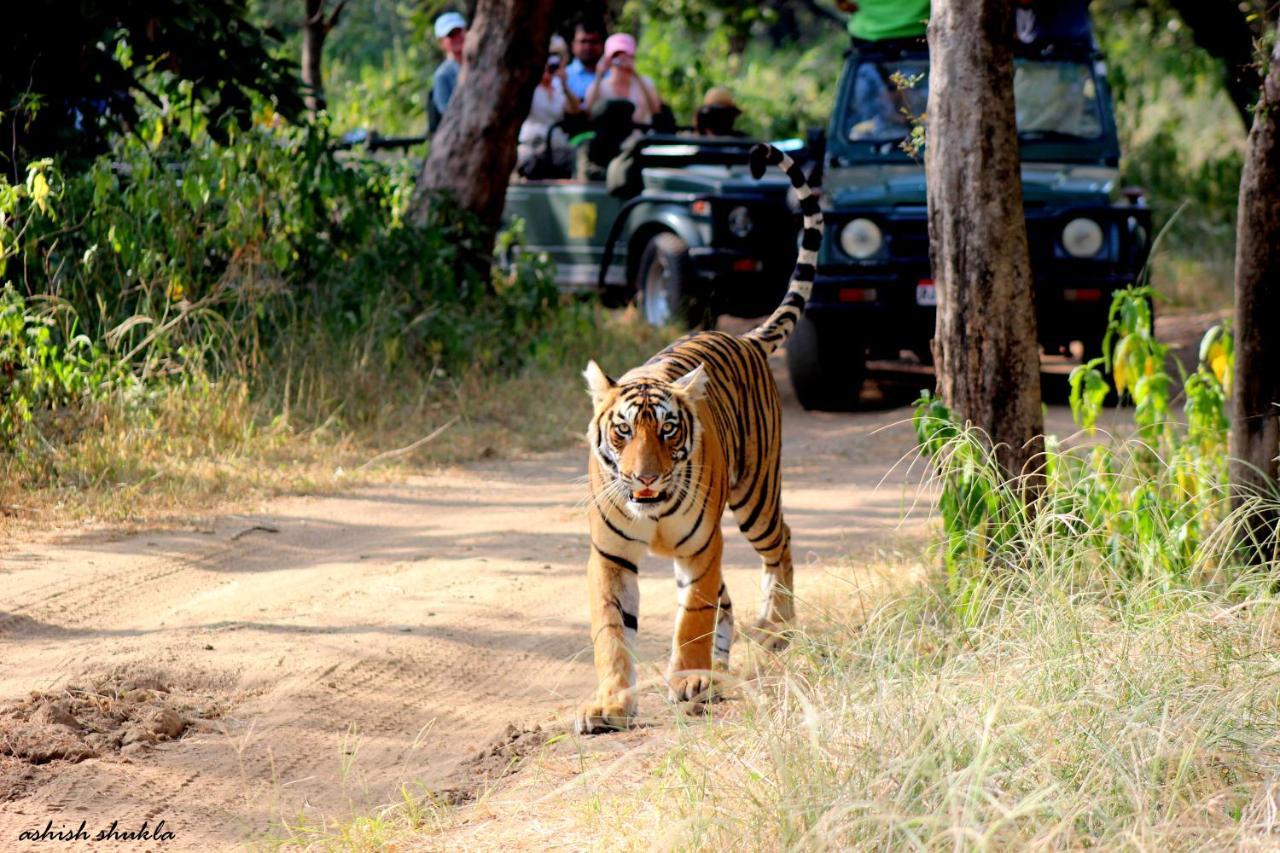 The Fern Ranthambore Forest Resort Rajasthan Sawai Madhopur Zewnętrze zdjęcie
