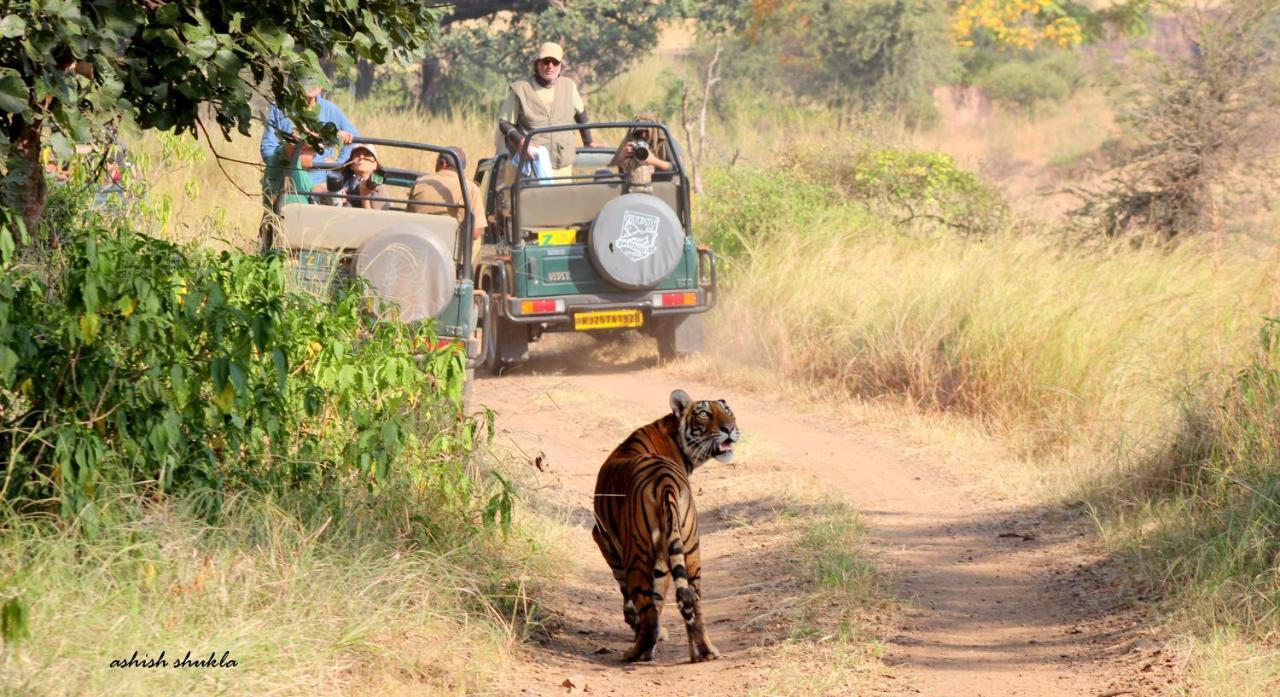 The Fern Ranthambore Forest Resort Rajasthan Sawai Madhopur Zewnętrze zdjęcie